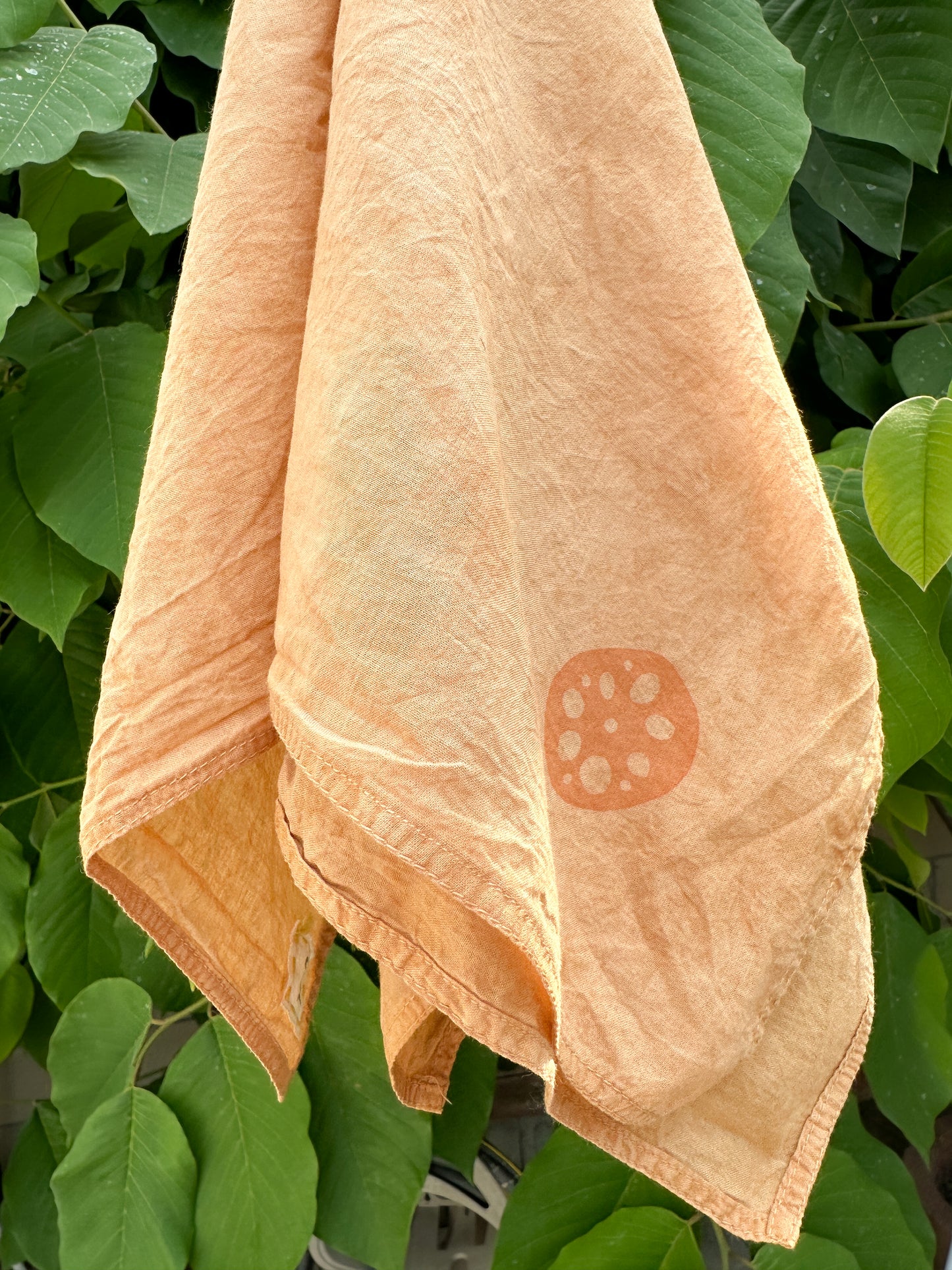 Lotus Root Bandana