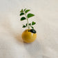 Harvest Vase (Mini)