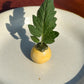 A mini yellow ceramic tomato vase with a tomato leaf 