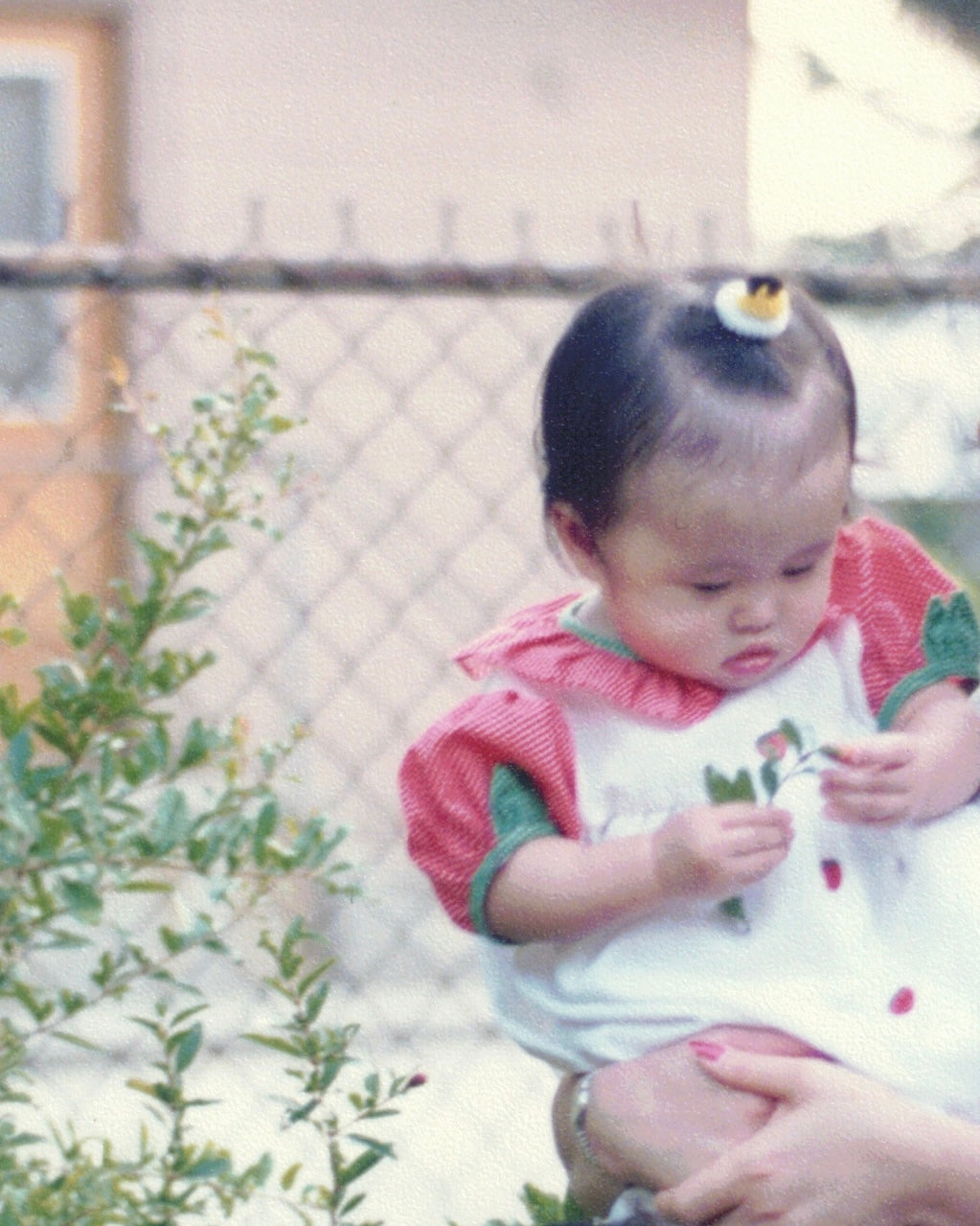A film photo of a baby wearing a white dress with red and pink details, holding pomegranate leaves 
