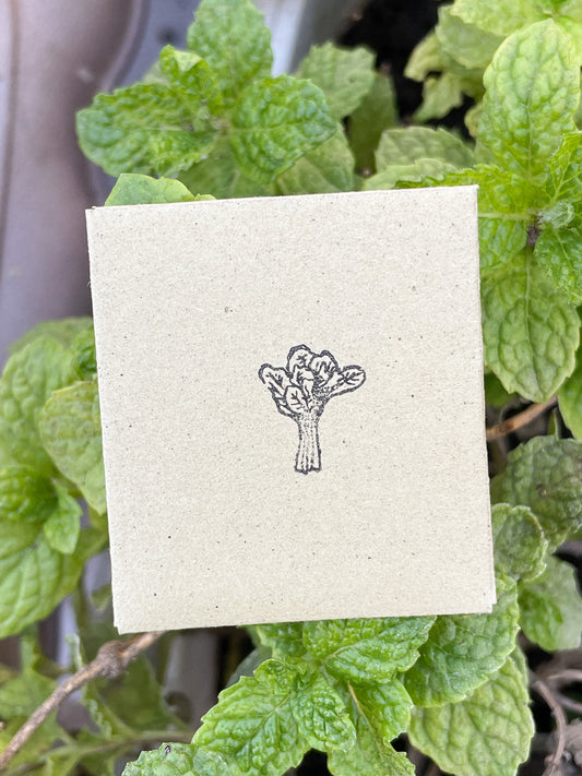 Mini brown envelope stamped with an illustration of gai lan sits on top of mint leaves.