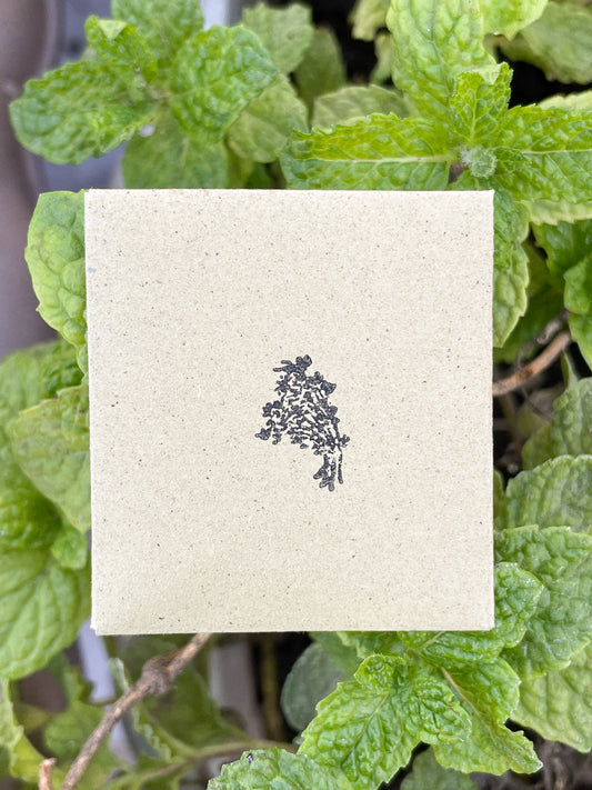 Mini brown envelope stamped with an illustration of tong ho sits on top of mint leaves.